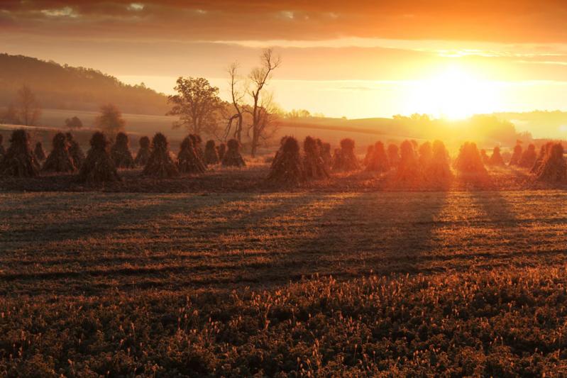 Competition entry: Sunrise in Amish Country