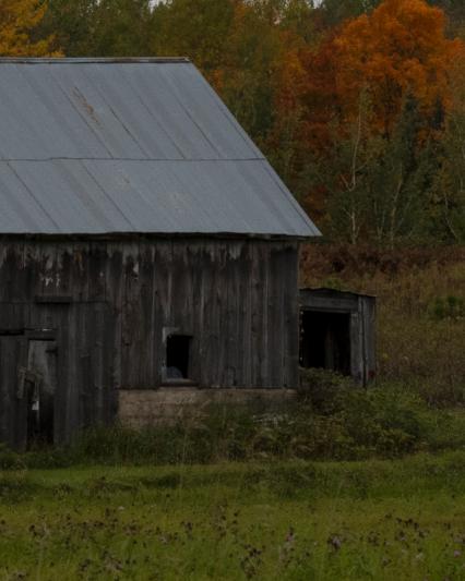 Competition entry: Old Barn with fall flair