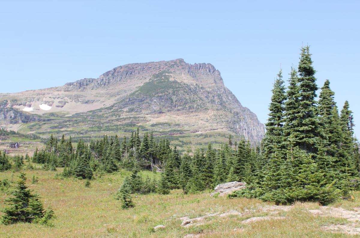 Competition entry: Glacier National Park