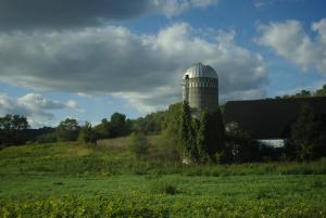Competition entry: Silo eating Ivy