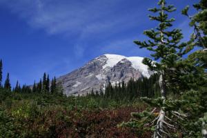 Competition entry: Ranier in July