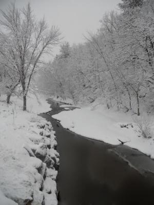 Competition entry: Winter Creek