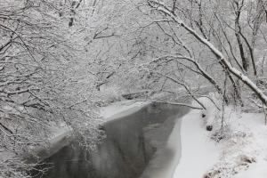 Competition entry: Snowy Morning on Coon Creek