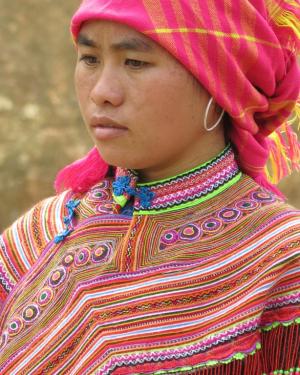 Competition entry: Flower Hmong