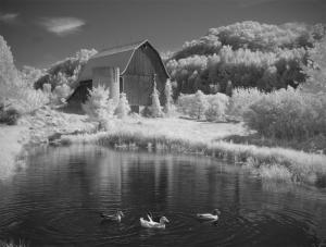 Competition entry: Reflected Barn IR #3