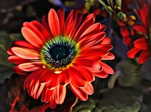 Competition entry: Gerbera Daisy - La Crosse Floral 2104 - Painted