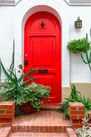 Competition entry: Botanical Creative Red Door