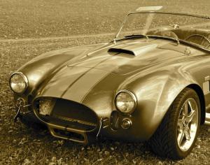 Competition entry: Ford Cobra Classic