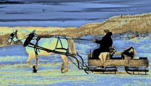 Competition entry: One Horse Open Sleigh