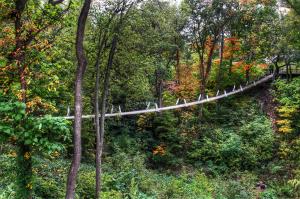 Competition entry: Louisa Cty Swinging Bridge