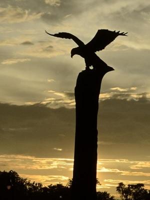 Competition entry: Riverside Park Eagle at Sunset