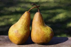 Competition entry: A Pair of Pears