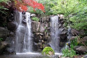Competition entry: Waterfall at Japanese Garden