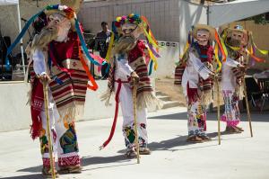 Competition entry: Peruvian Dance Festival