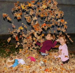 Competition entry: What's more fun than a pile of leaves?