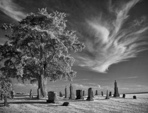 Competition entry: Infrared Cemetery on N