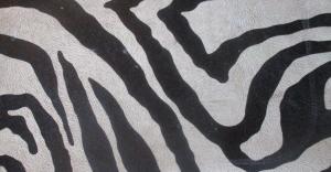 Competition entry: Zebra Stripes