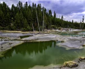 Competition entry: Geyser Basin