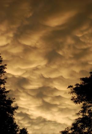 Competition entry: Mammatus Clouds