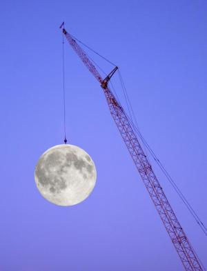 Competition entry: Crane and Moon #6