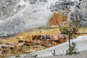 Competition entry: Splash of Color at Mammoth Springs