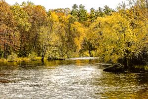 Competition entry: West Fork Chippewa River