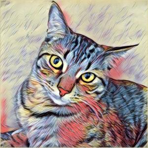 Competition entry: Colorful Kitty