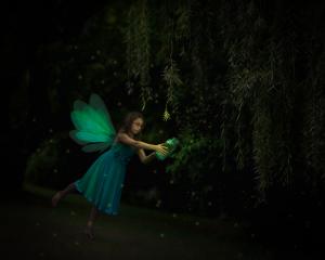 Competition entry: Fireflies