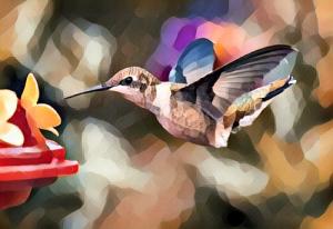 Competition entry: Hummingbird