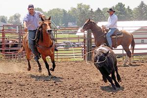 Competition entry: Calf Roping