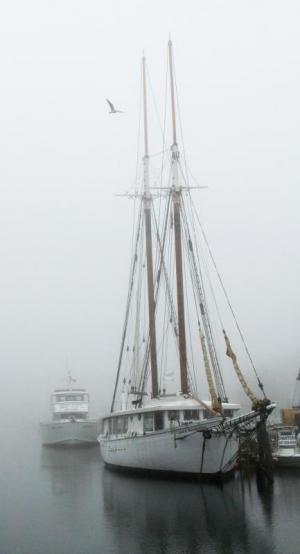 Competition entry: Foggy morning sailboat