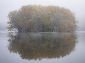 Competition entry: Foggy Fall Reflections