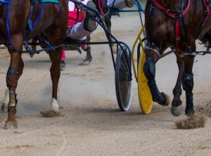 Competition entry: Harness Racing