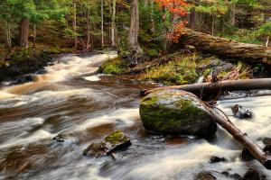 Competition entry: A Stream Runs Wild in Autumn Forest