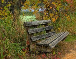 Competition entry: THE WEATHERED BENCH