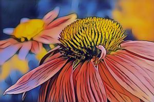 Competition entry: Echinacea