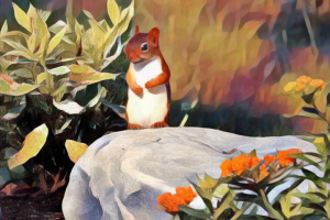 Competition entry: Story Book Squirrel