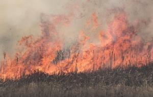 Competition entry: Controlled Burn in Crex Meadows