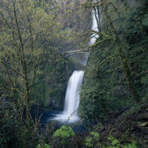 Competition entry: Multnomah Falls