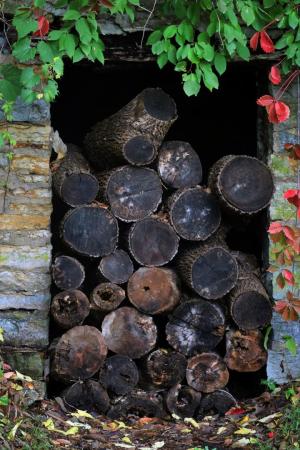 Competition entry: Wood Piled in Door