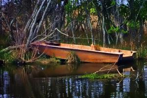 Competition entry: Boat in Bayou