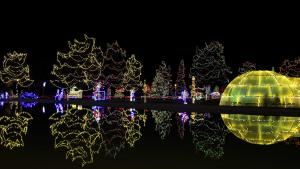 Competition entry: Rotary lights Reflection