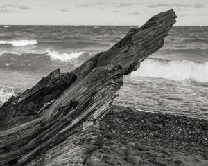 Competition entry: Washed A Shore