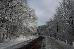 Competition entry: Cty Rd II