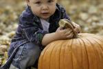 Competition entry: Look at this BIG pumpkin