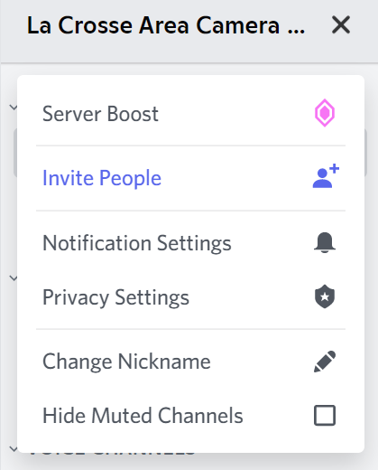 Screenshot of the Discord server settings.