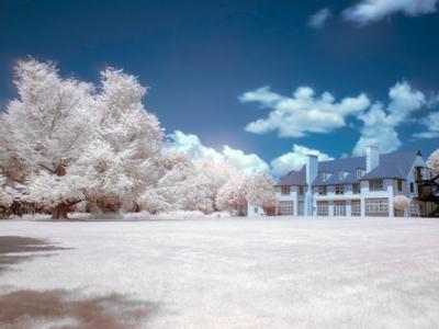 Infrared trees and grass under a dark blue sky with a building.