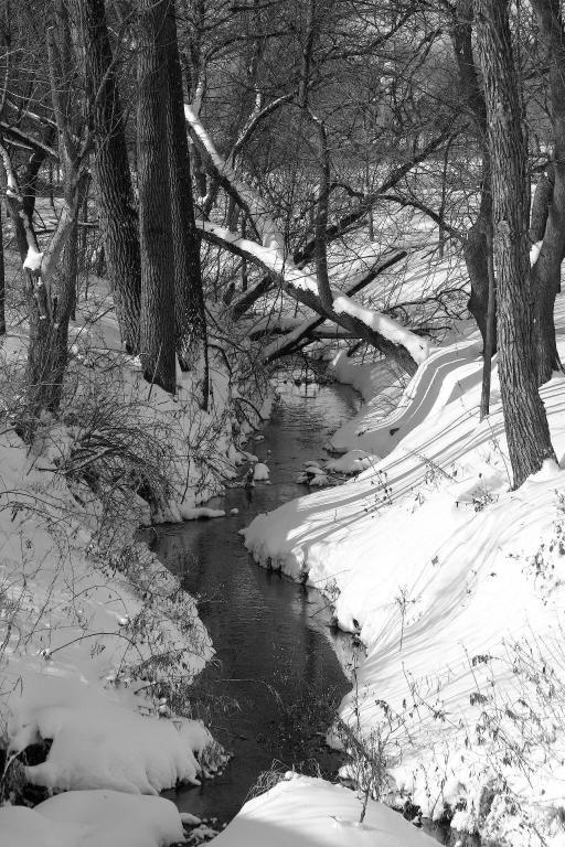 Competition entry: Creek in Winter