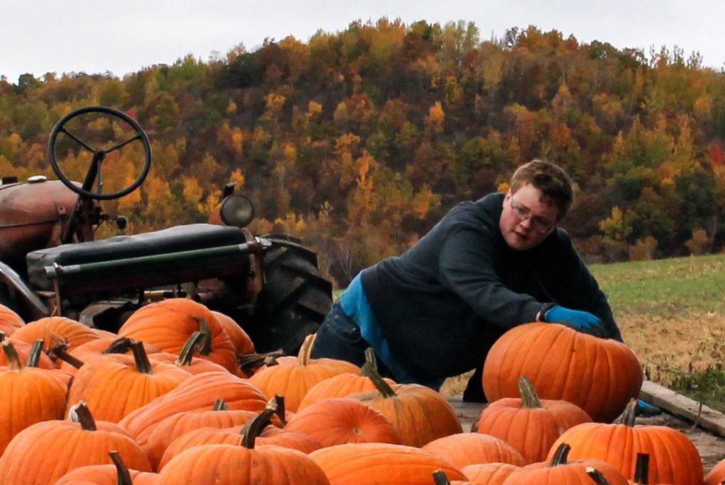 Competition entry: Harvesting Pumpkins