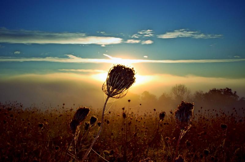 Competition entry: Sunrise Above the Fog